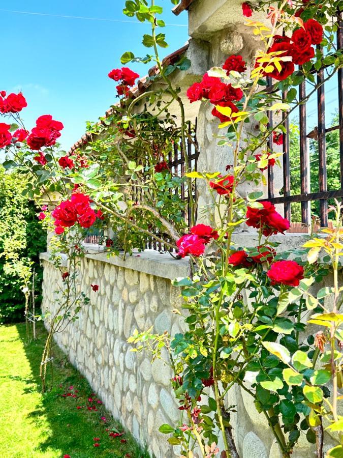 Villa Rila Garden ベリ・イスカ エクステリア 写真